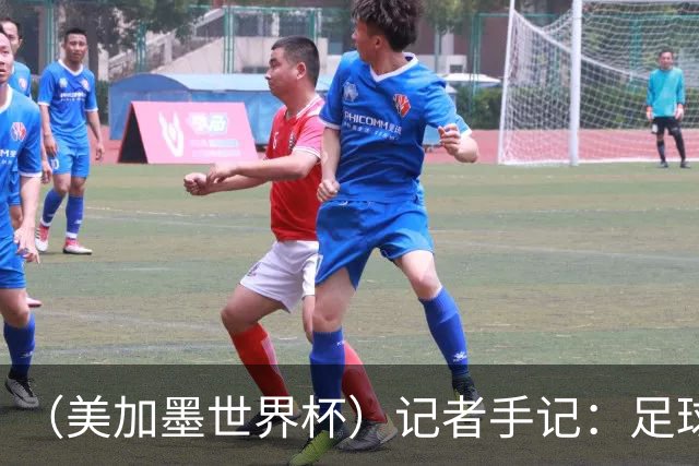 （美加墨世界杯）记者手记：足球世界，规则谁定？